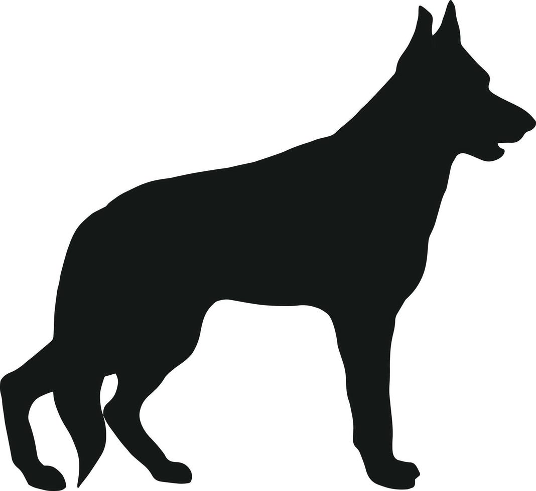 pastor alemán de pie silueta aislado sobre fondo blanco. arte vectorial dibujado a mano negra de una mascota. ilustración vectorial simple de un animal vector