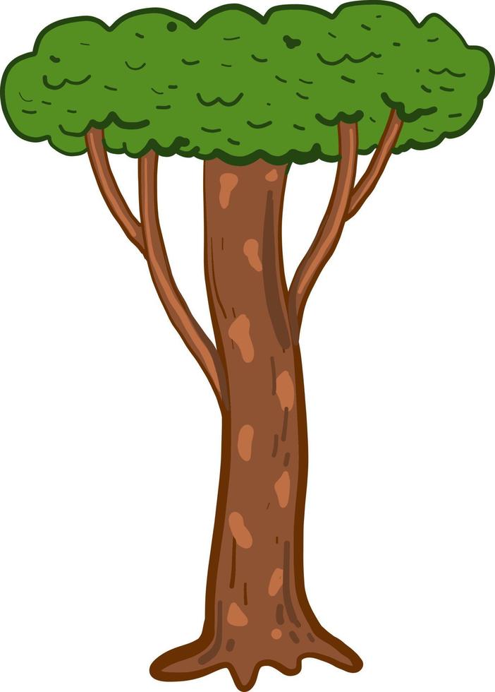 Árbol alto y redondo, ilustración, vector sobre fondo blanco.