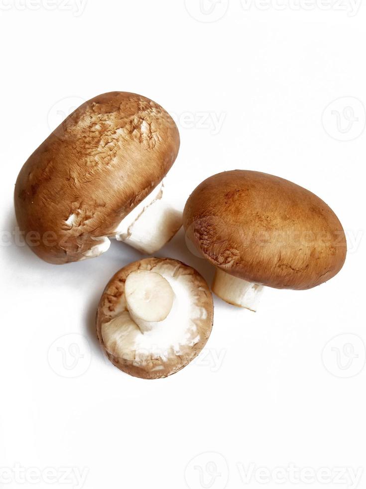 fresh mushrooms. champignons, ingredients for cooking photo