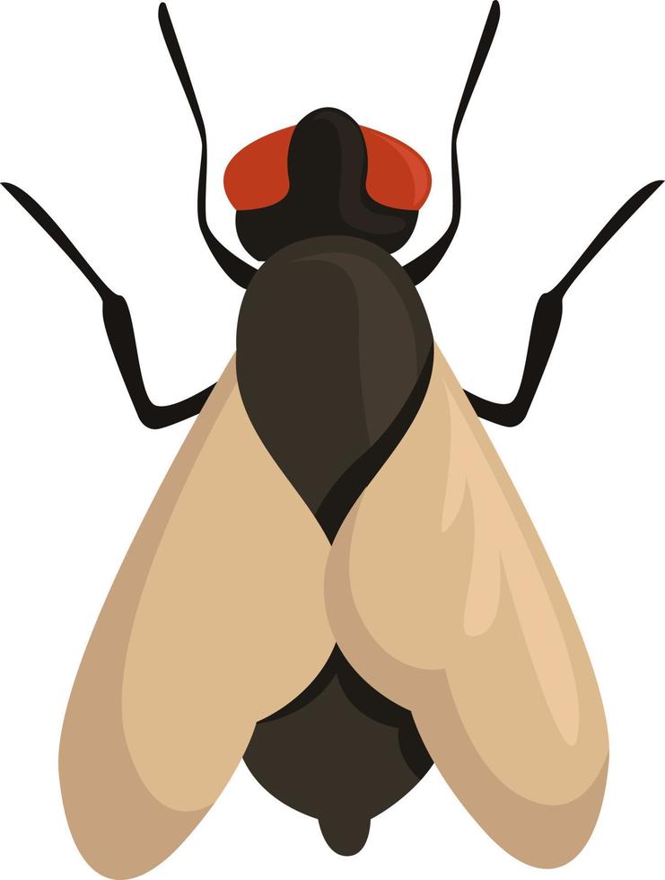 mosca voladora, ilustración, vector sobre fondo blanco