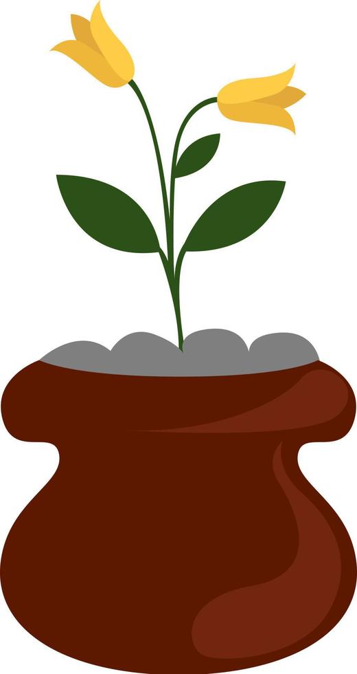 Plant in pot , illustration, vector on white background