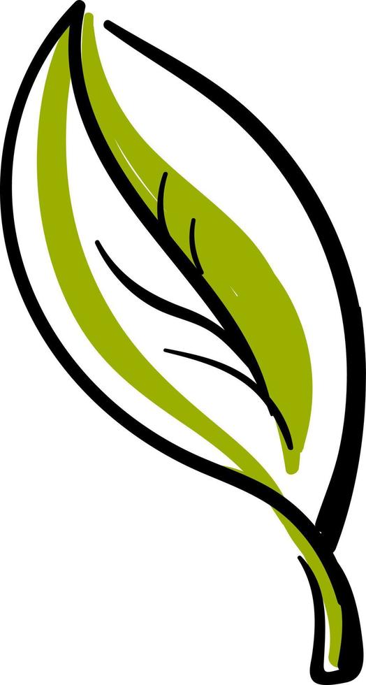 Green leaf tattoo, illustration, vector on white background.