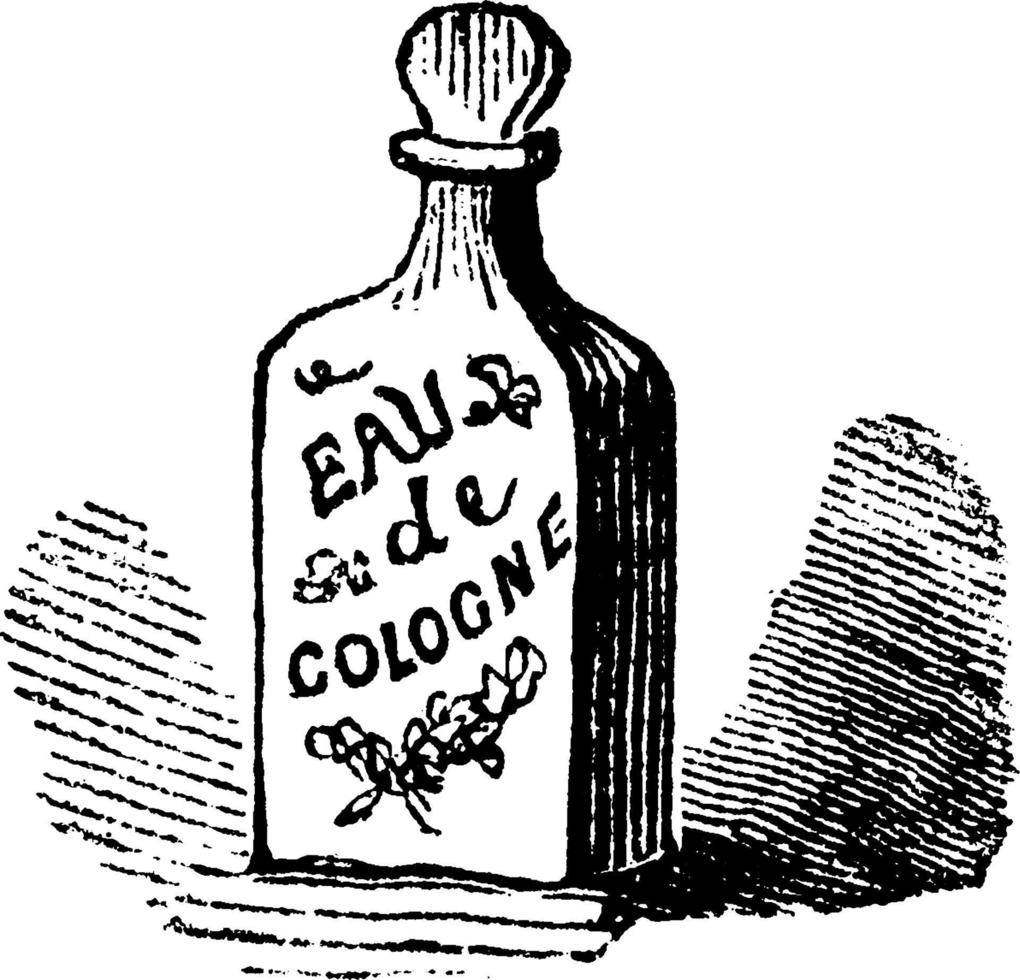 agua de colonia, ilustración vintage. vector