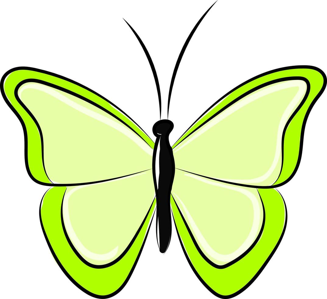 mariposa verde, ilustración, vector sobre fondo blanco.