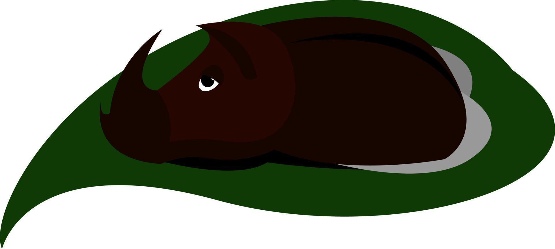 Beetle, illustration, vector on white background.