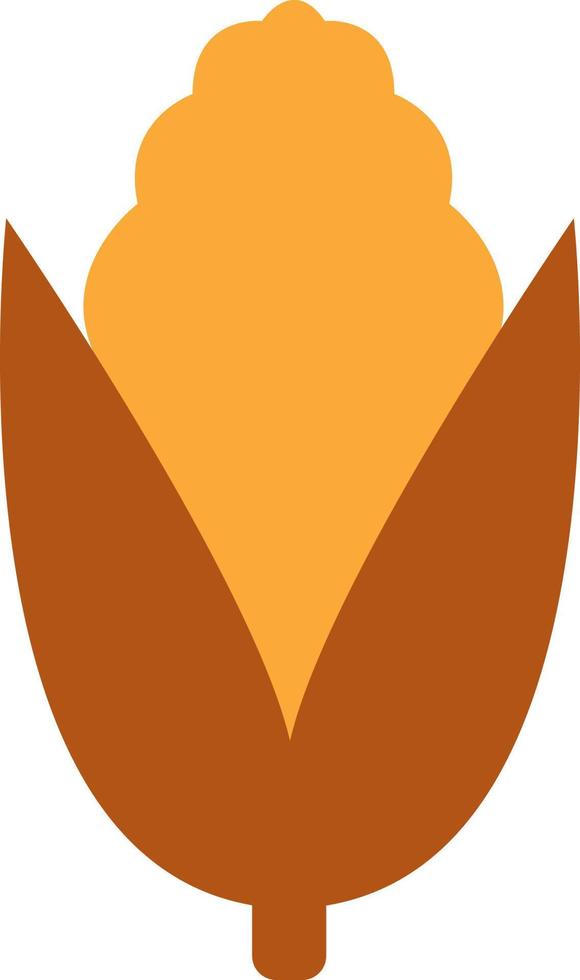 Thanksgiving corn, illustration, vector on a white background.