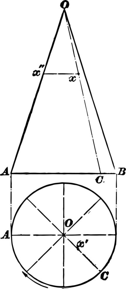 Development Of Cone vintage illustration. vector