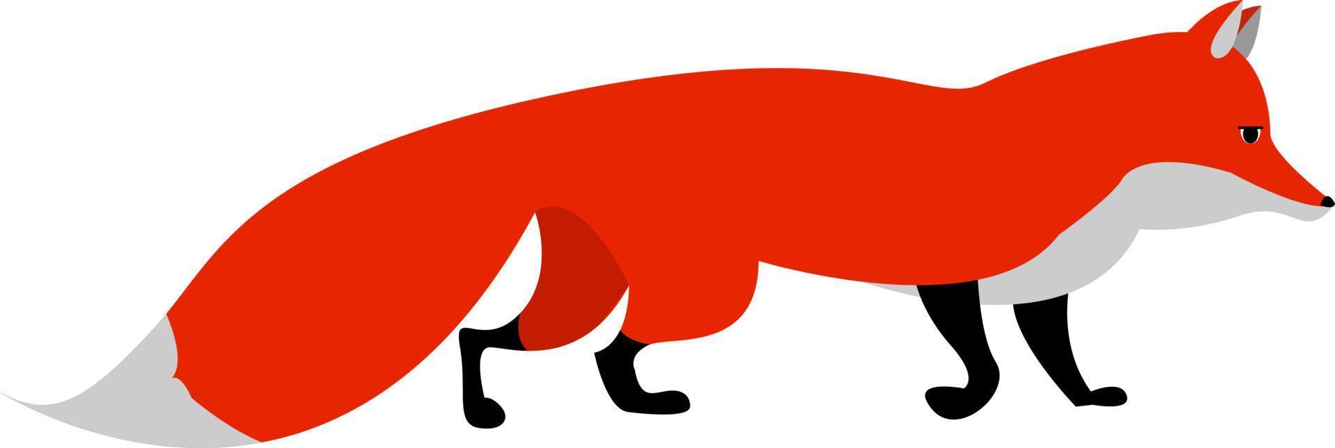 Big fox, illustration, vector on white background.