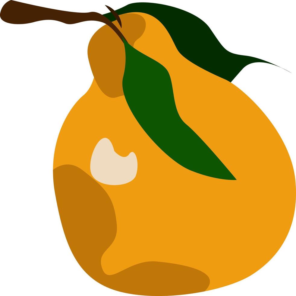 Orange pear, illustration, vector on white background.