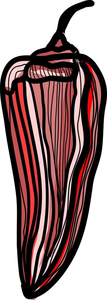 Pimiento rojo seco, ilustración, vector sobre fondo blanco.