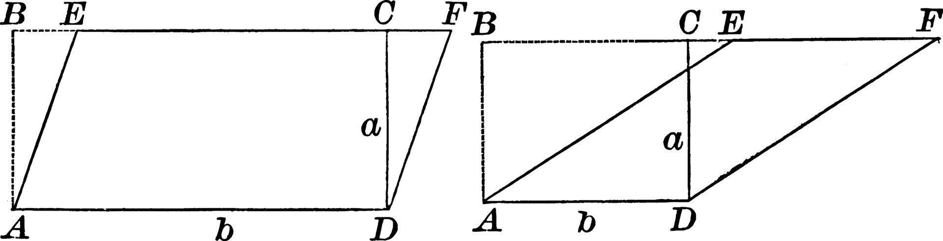 Area Of Parallelogram, vintage illustration. vector