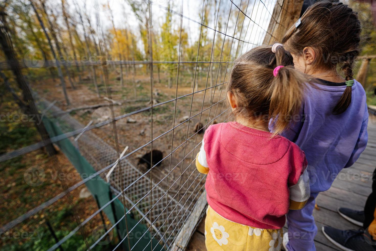 Two sisters looking at bears from bridge. photo