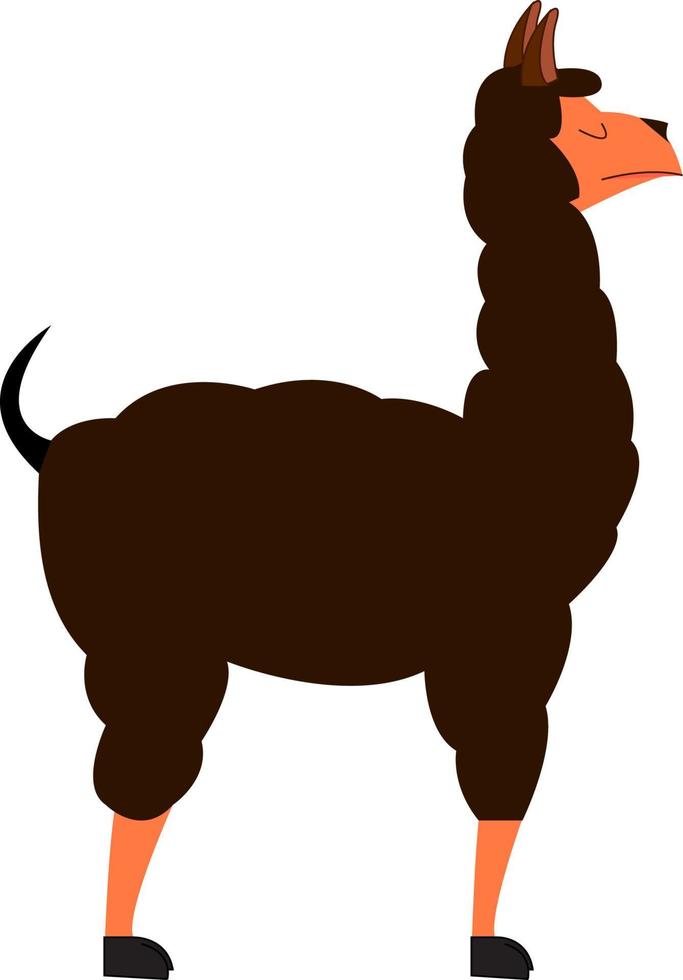 A brown lama, vector or color illustration.