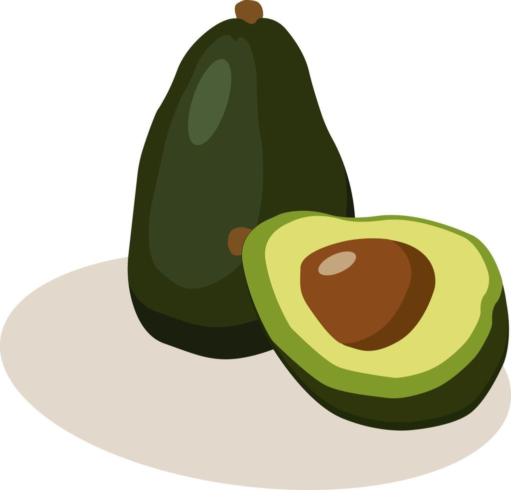 aguacate, ilustración, vector sobre fondo blanco.