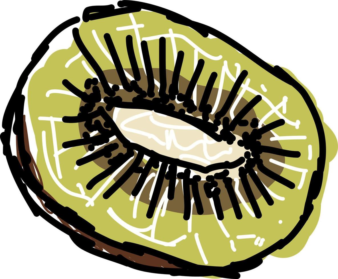 Piece of kiwi, illustration, vector on white background.
