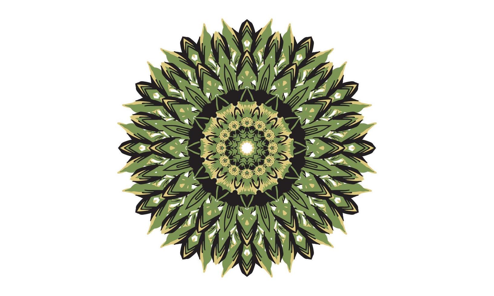 luxury mandala design vector background  vintage abstract floral pattern design