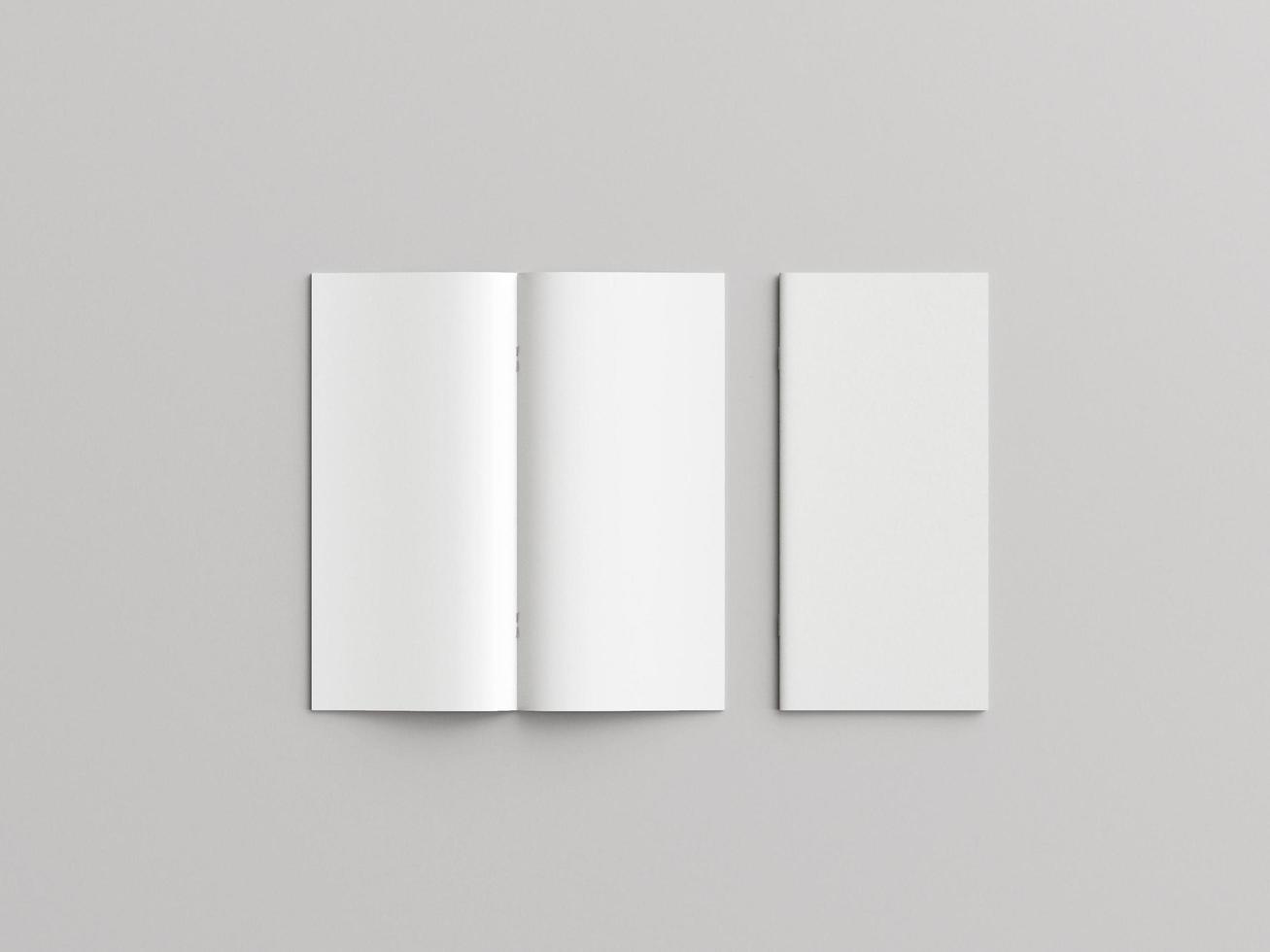 DL bifold flyer mockup photo