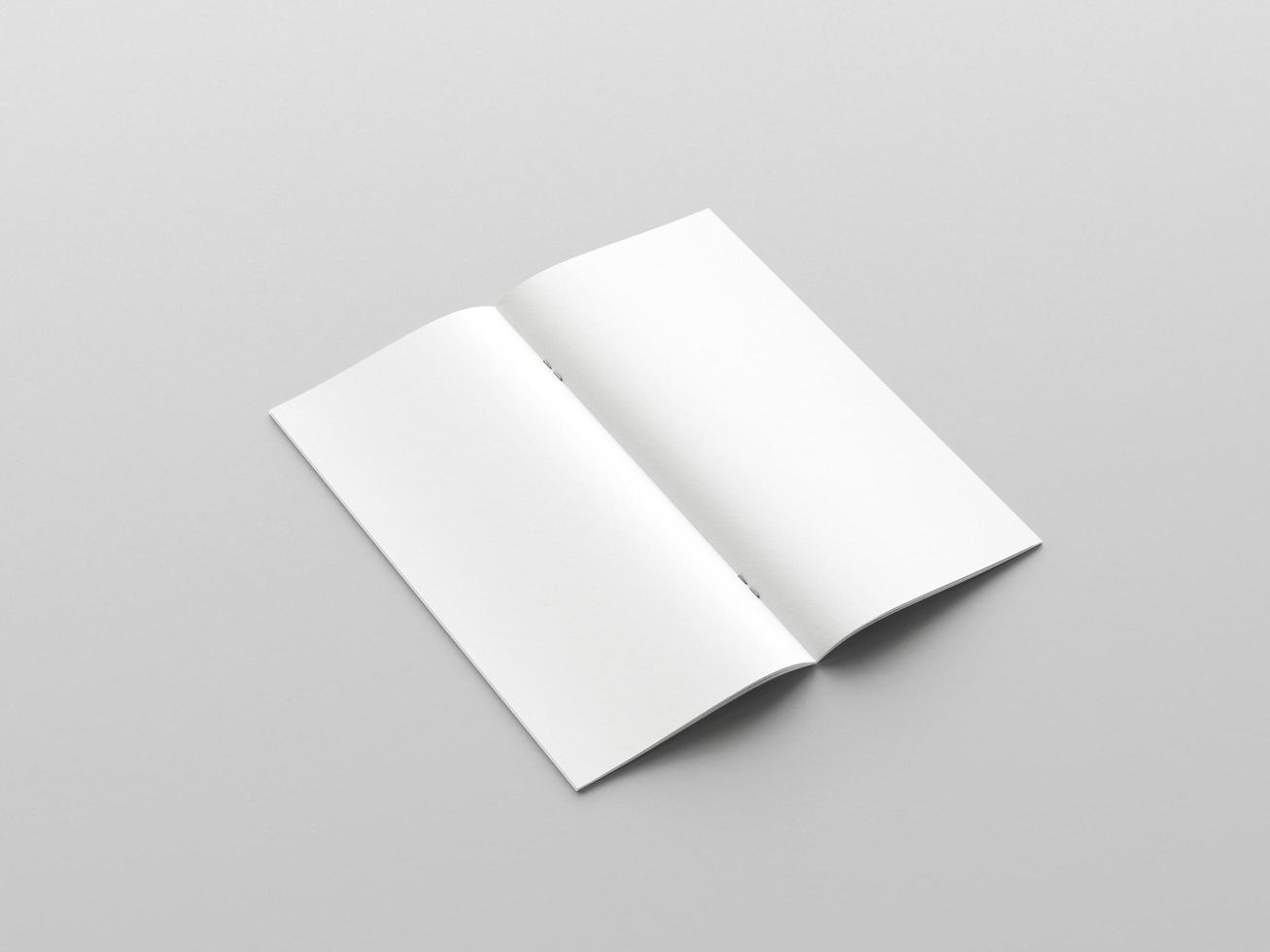 DL bifold flyer mockup photo