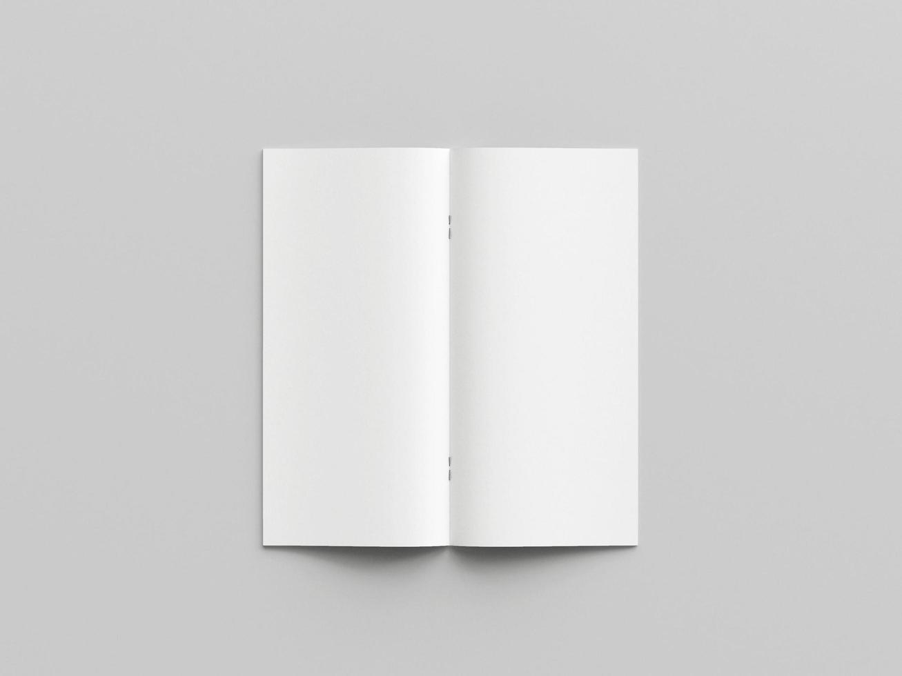 DL bifold flyer mockup photo