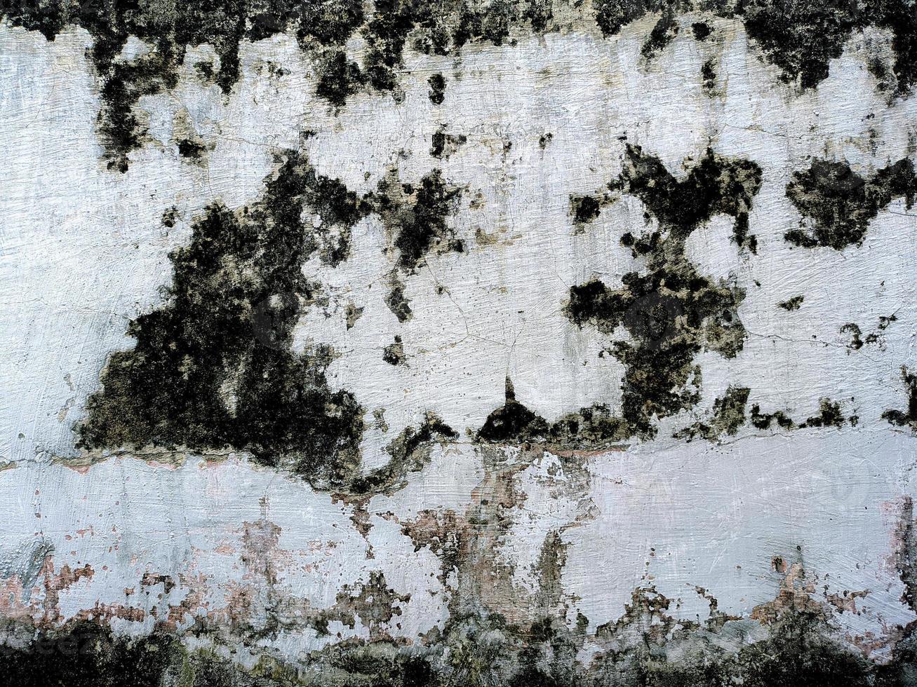 Background texture of walls overgrown with moss. scary horror background concept photo