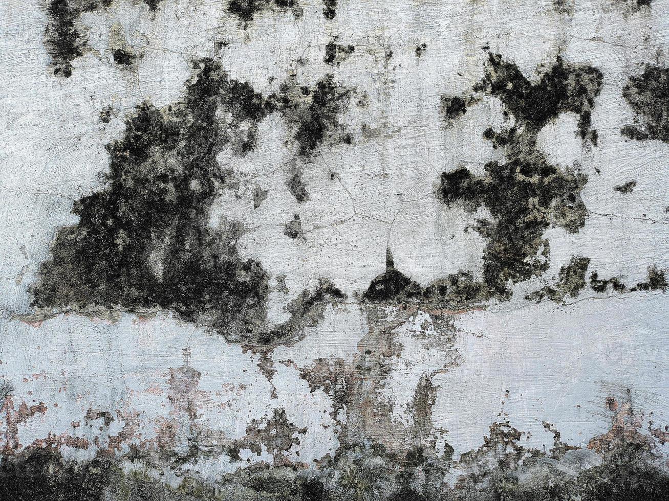 Background texture of walls overgrown with moss. scary horror background concept photo