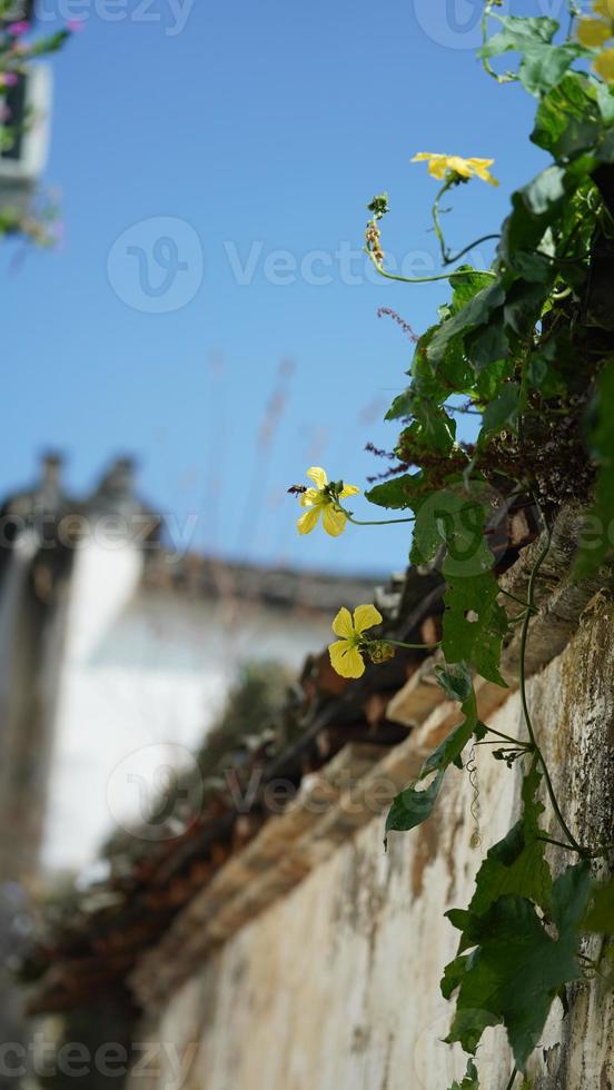 The beautiful traditional Chinese village view with the classical architecture and fresh green trees as background photo