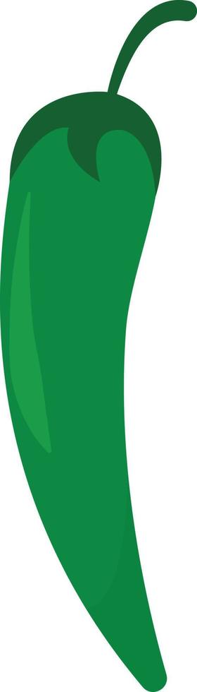Green pepper, illustration, vector on white background.