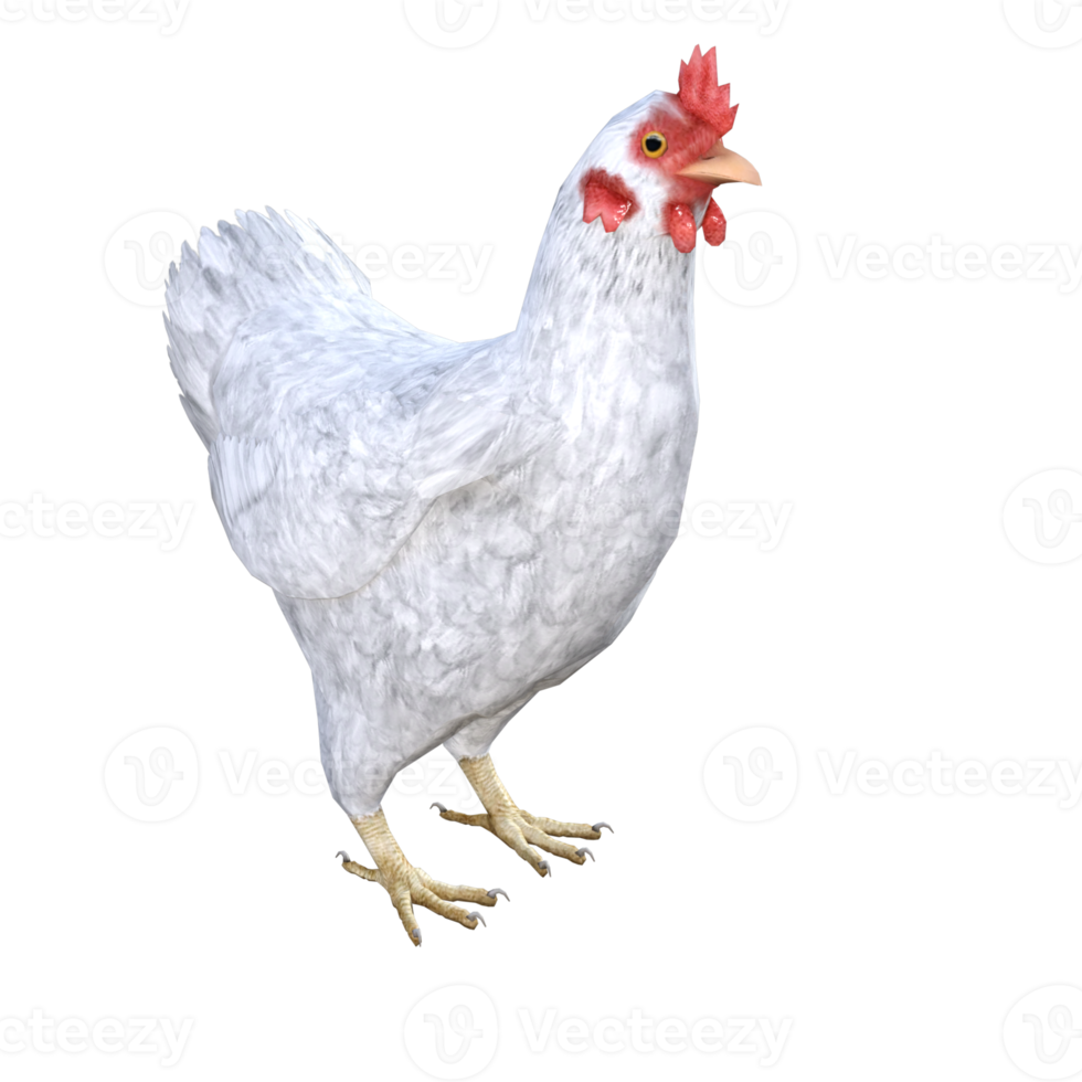 Huhn 3D-Rendering png