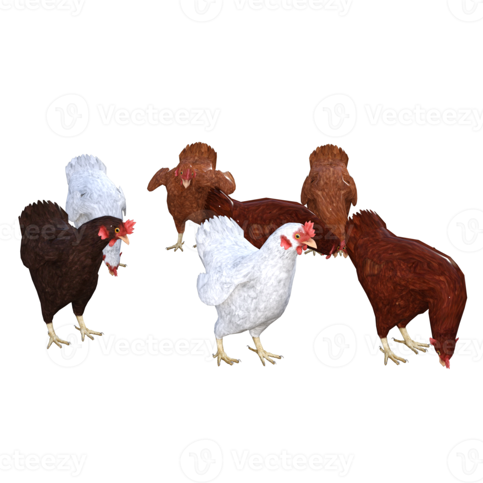 chicken 3d rendering png