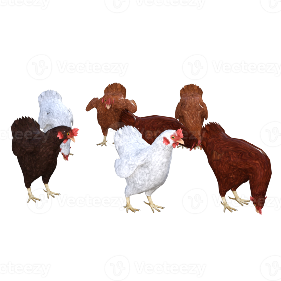 rendu 3d de poulet png