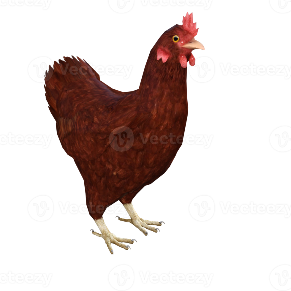 Huhn 3D-Rendering png