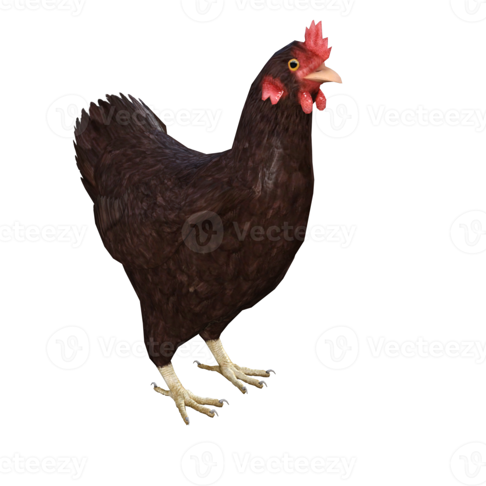 Huhn 3D-Rendering png