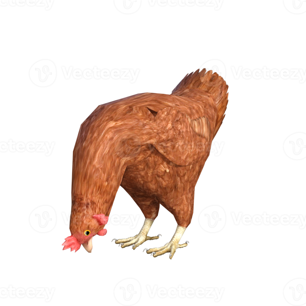 Huhn 3D-Rendering png