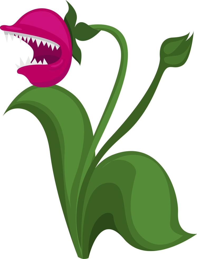 Predatory flower, illustration, vector on white background