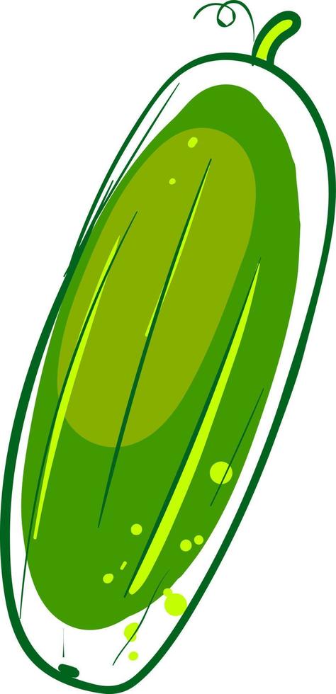 Cucumber drawing, illustration, vector on white background.