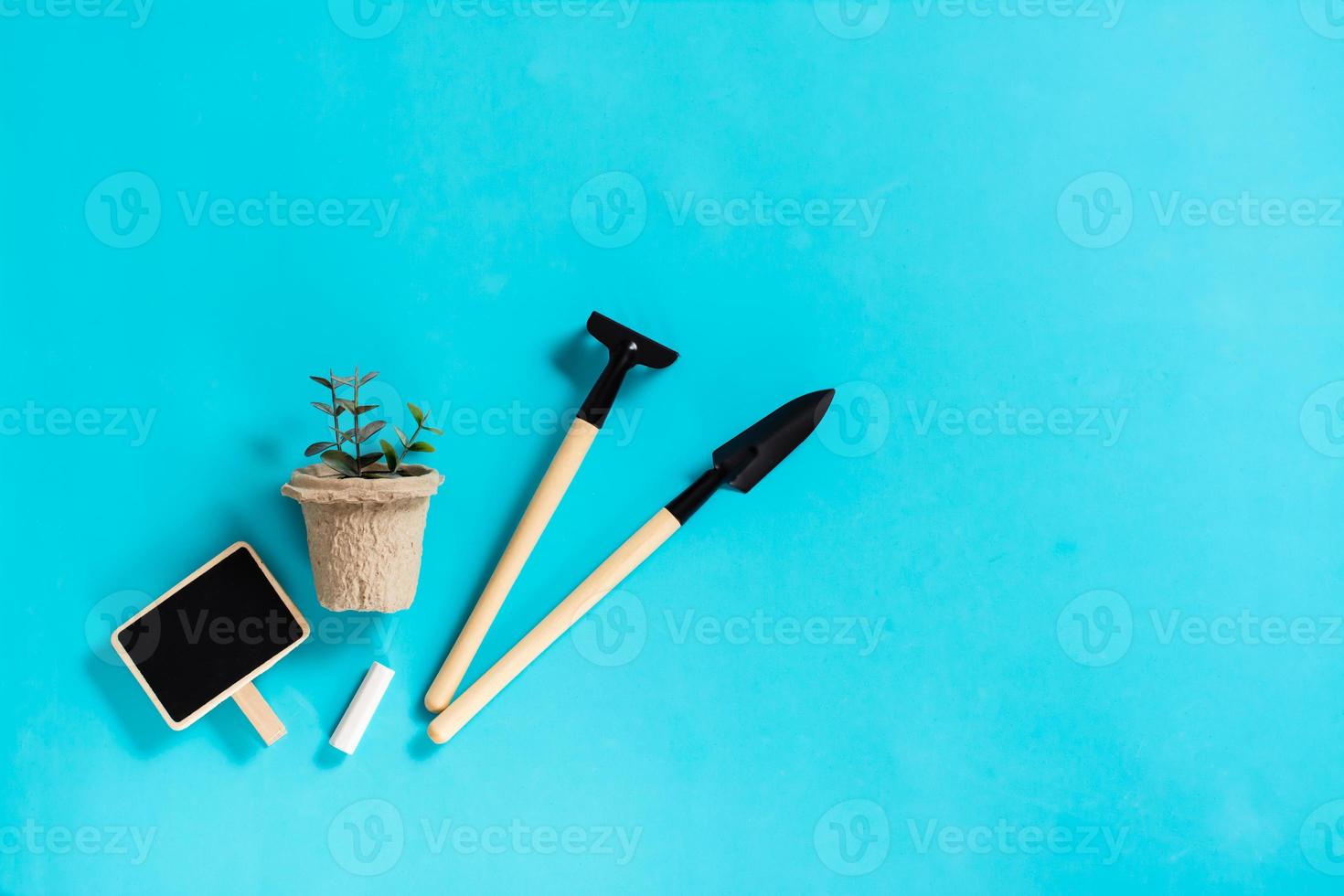 Potted sprouts, gardening tools and a writing board on a blue background. photo