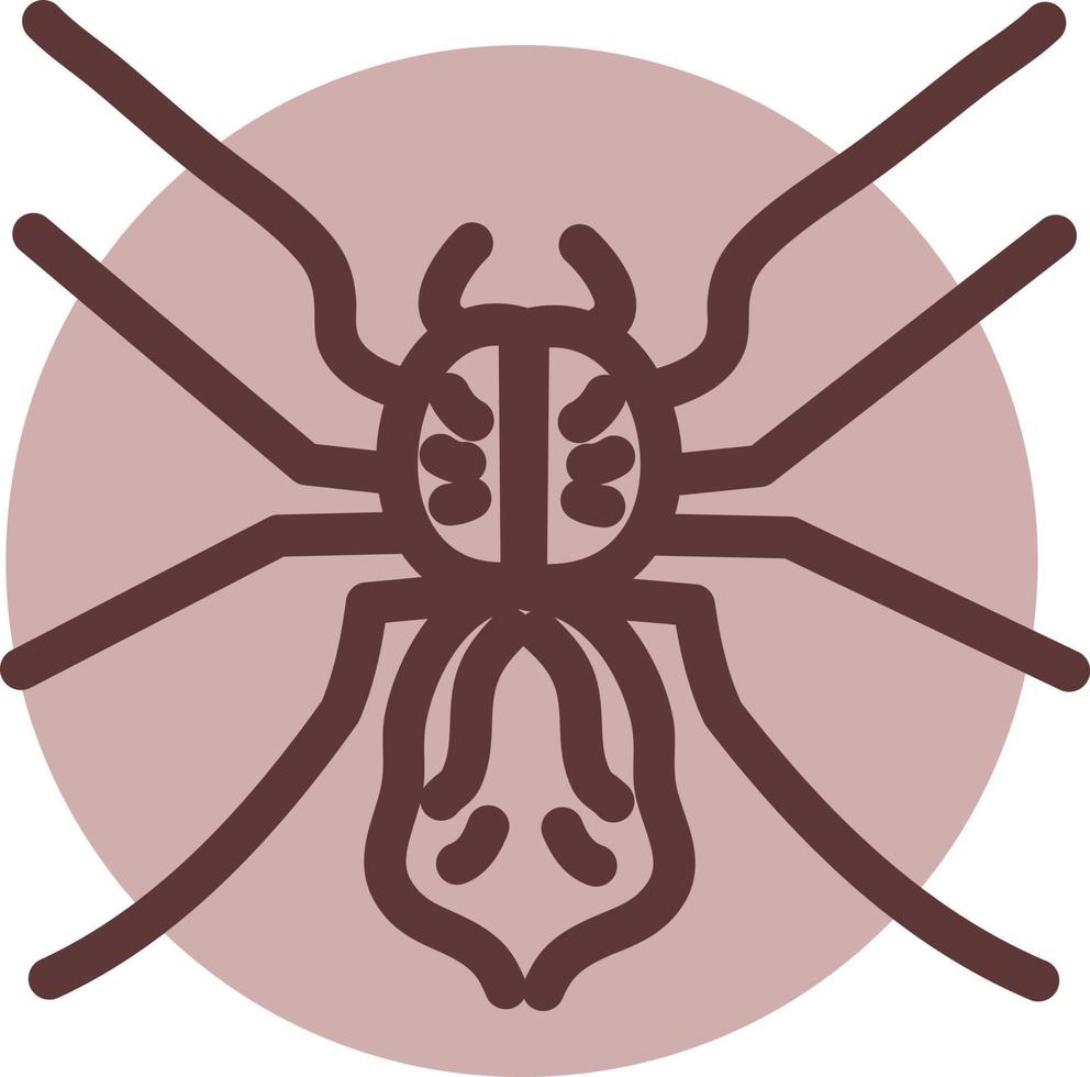 insecto araña, ilustración, vector sobre fondo blanco.