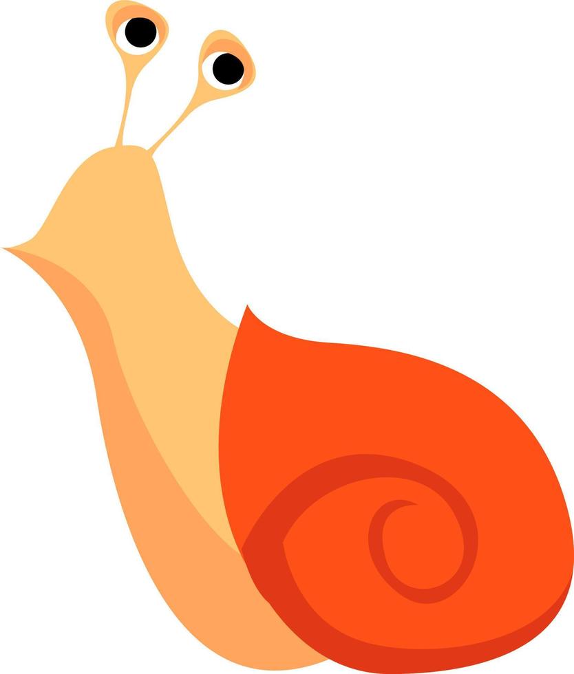 Snail, illustration, vector on white background.