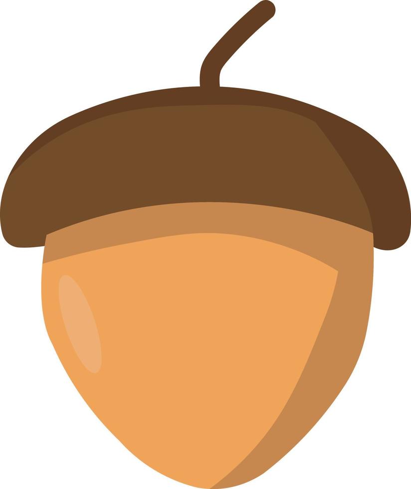Brown little acorn, illustration, vector on white background.