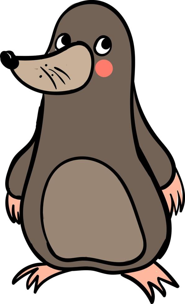 Cute fat mole, illustration, vector on white background.