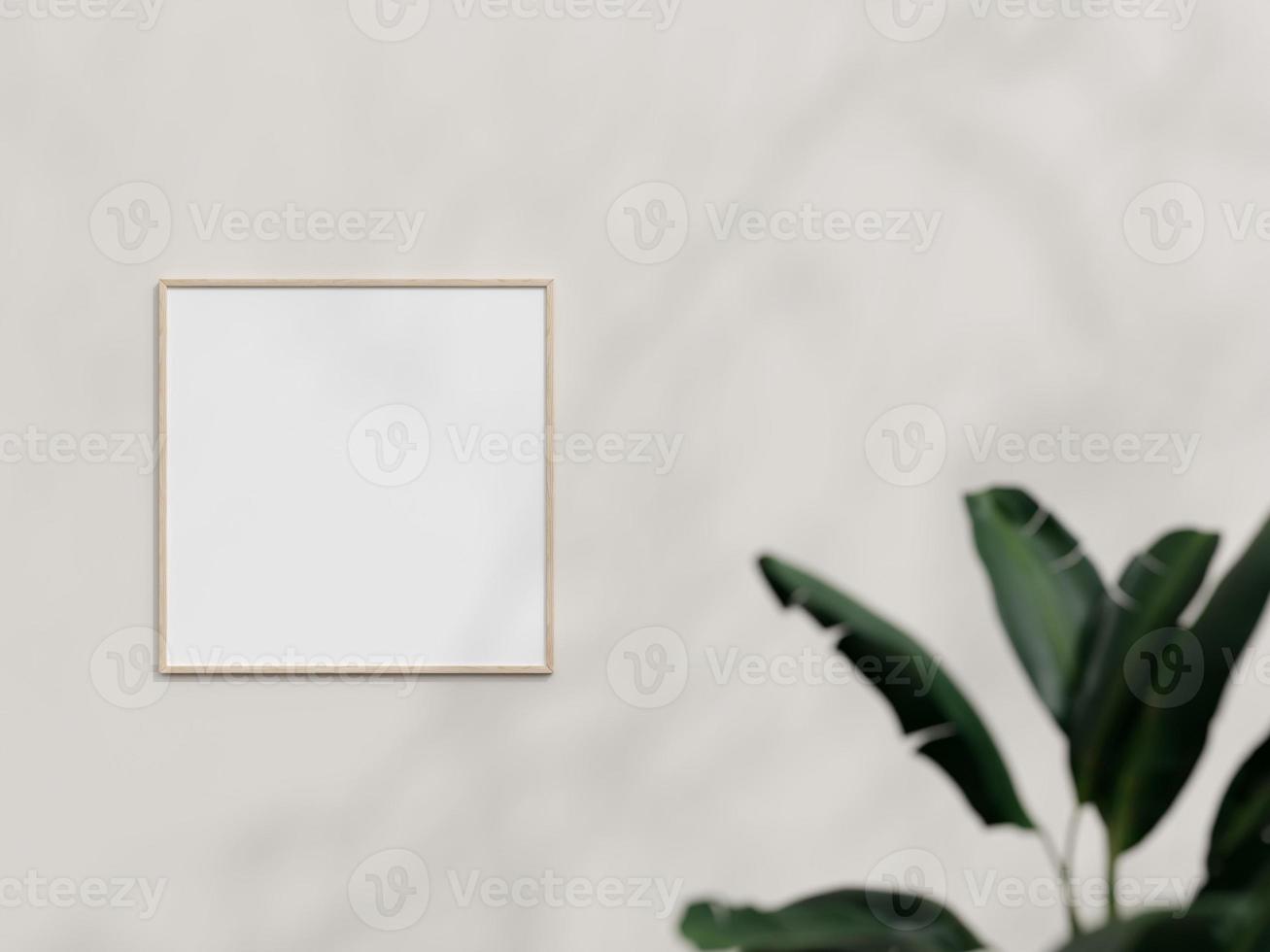 Clean and minimalist front view square wooden photo or poster frame mockup hanging on the wall with plant. 3d rendering.