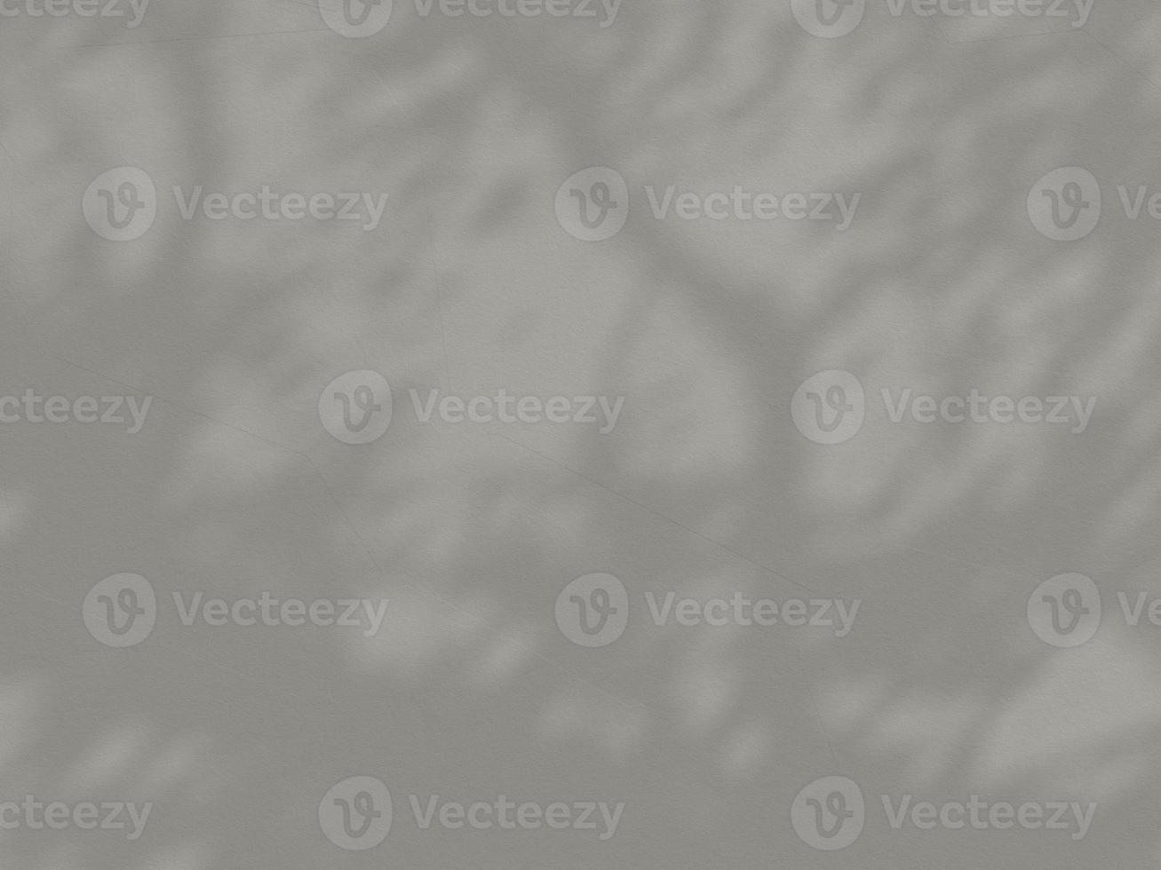 Abstract background cement wall organic shadow light concept backdrop. 3d rendering. photo