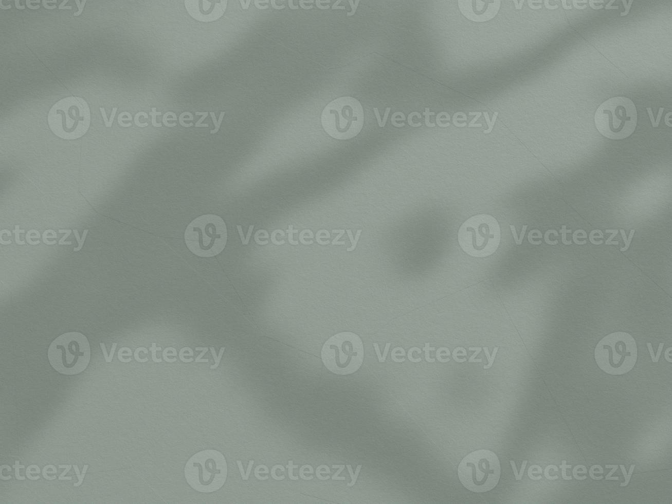 Abstract background cement wall organic shadow light concept backdrop. 3d rendering. photo