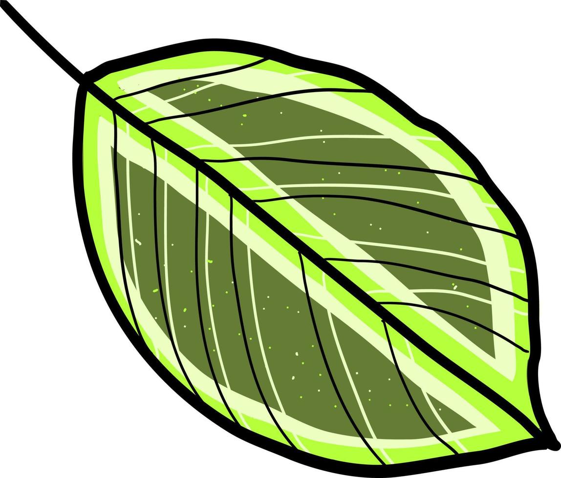 hoja verde, ilustración, vector sobre fondo blanco.