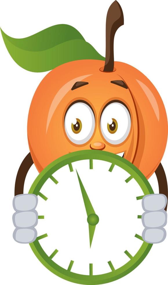 Apricot with clock, illustration, vector on white background.
