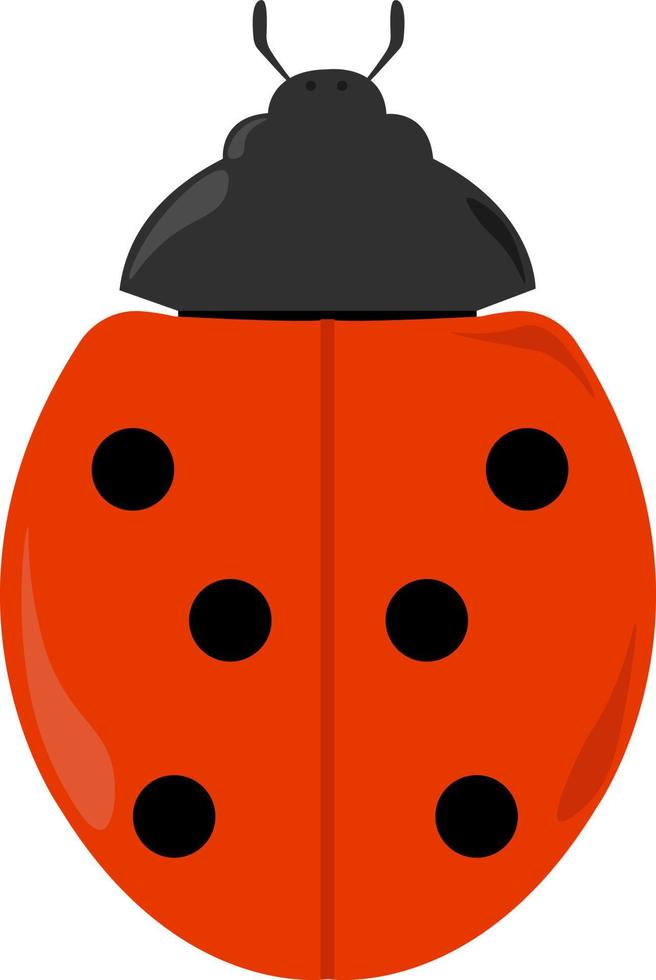 Ladybug, illustration, vector on white background.