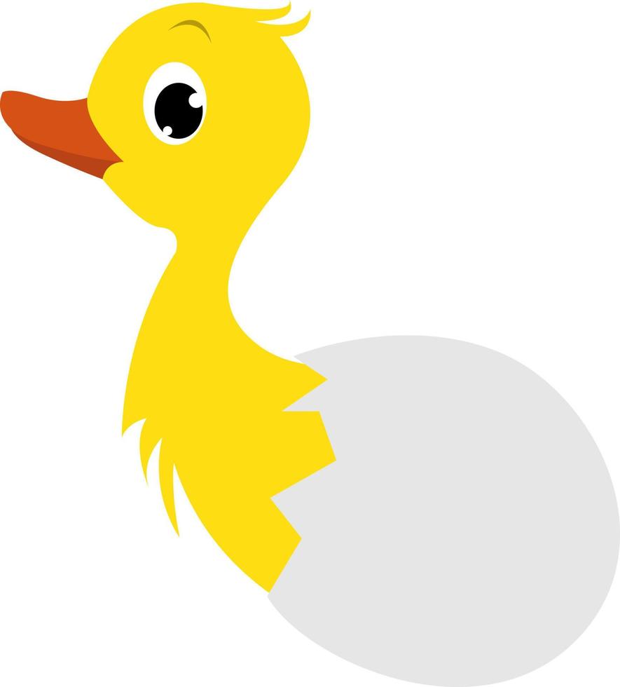 Duckling, illustration, vector on white background.