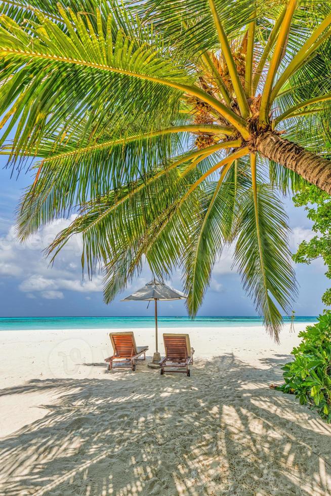 Summer vacation beach, travel scenic. Closeup couple chairs umbrella under palm trees, leaves. Sea sand sky, idyllic recreational landscape. Sunny beautiful tropical island landscape. Amazing paradise photo