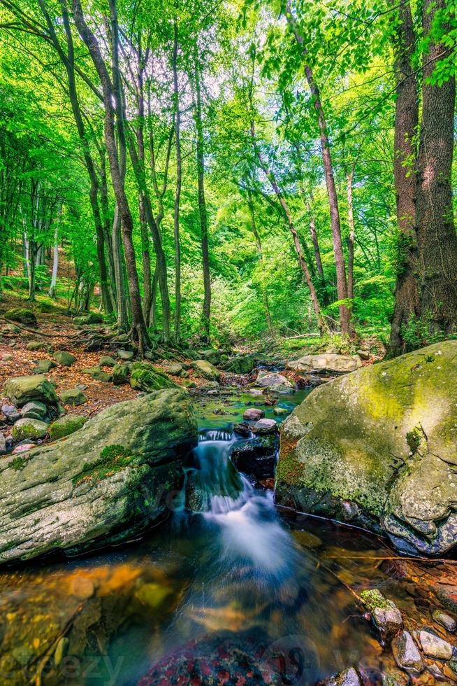 cascadas en Clear Creek en el bosque. paisaje de arroyo de montaña de verano, luz solar suave. caminatas y viajes al aire libre aventura bosque, tranquilo arroyo. primer plano de la naturaleza serena, rocas, árboles verdes frescos de musgo foto