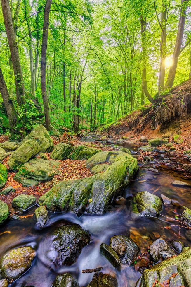 Cascades on clear creek in forest. Summer mountain stream landscape, soft sunlight. Hiking and travel outdoors adventure woodland, calm creek. Serene nature closeup, rocks, moss fresh green trees photo